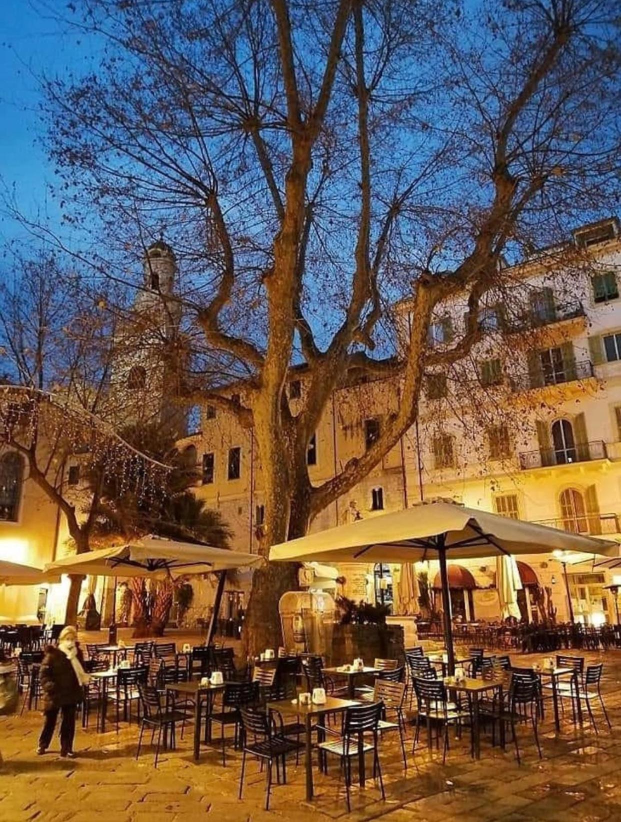 Апартаменты Casa Girasole Sanremo Centro Экстерьер фото